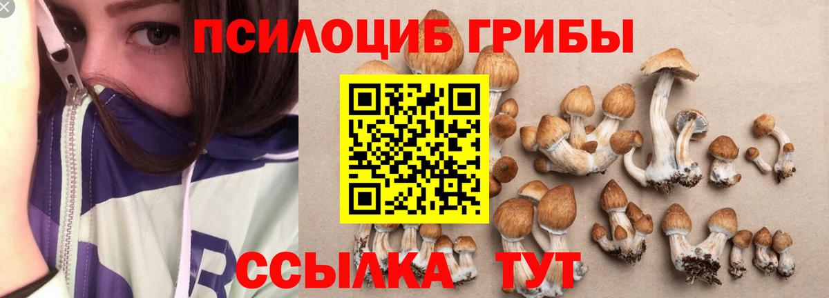 Псилоцибиновые грибы Magic Shrooms Зима